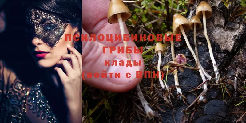 Псилоцибиновые грибы MAGIC MUSHROOMS  blacksprut как зайти  Краснослободск 